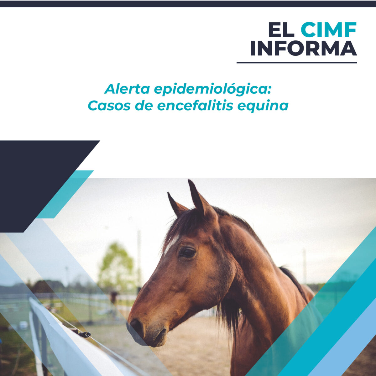 ALERTA EPIDEMIOLÓGICA - CASOS DE ENCEFALITIS EQUINA