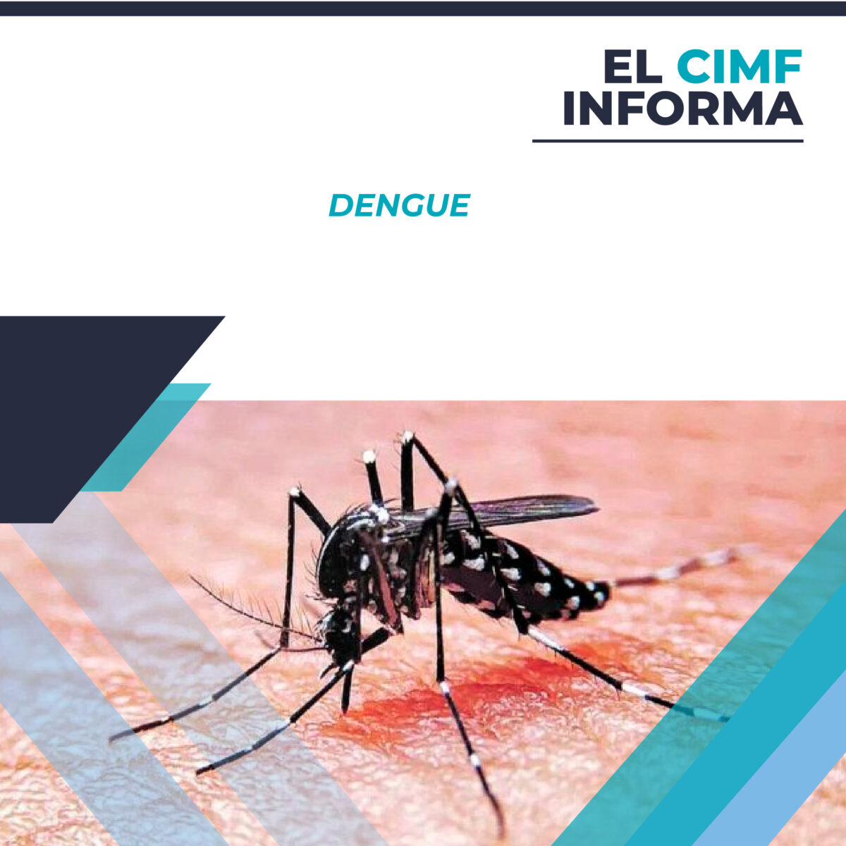 El CIMF INFORMA: Dengue