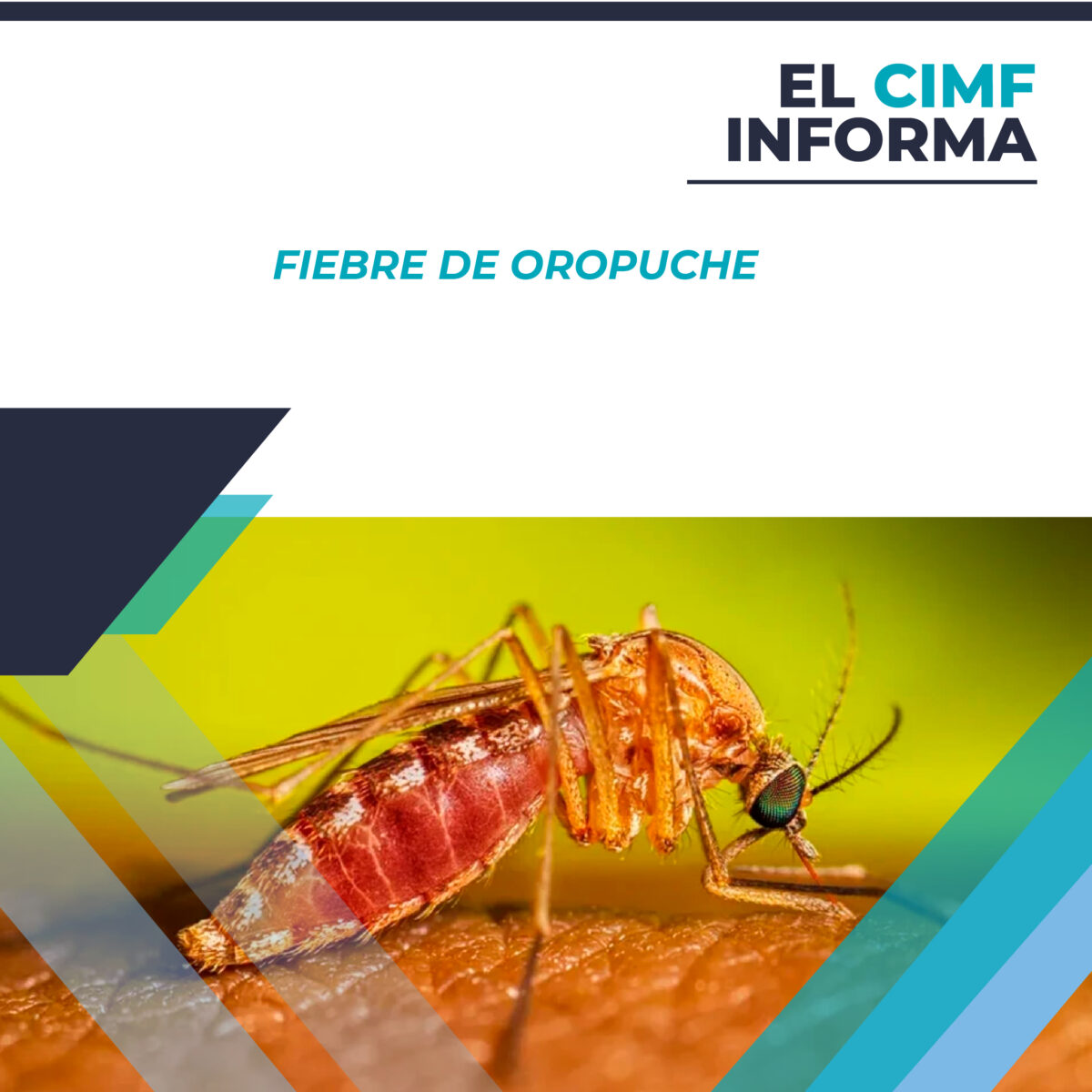 El CIMF INFORMA: Fiebre de Oropuche