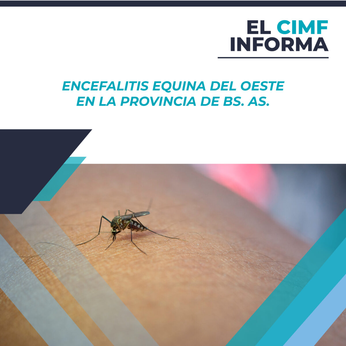 Encefalitis Equina del Oeste en la Provincia de Bs. As.