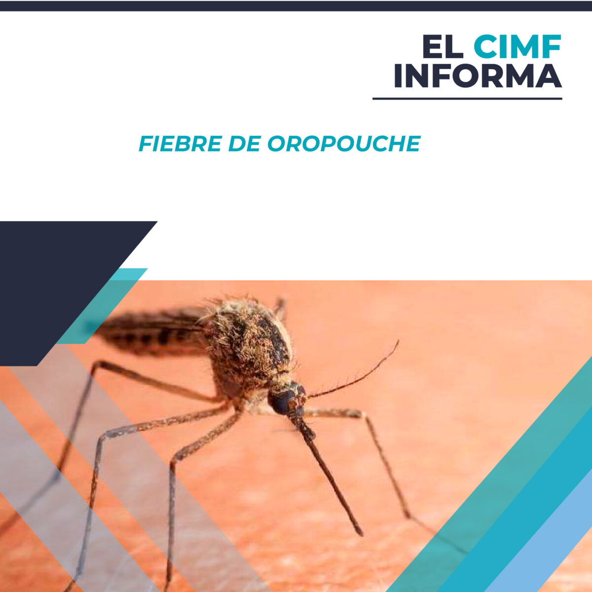 El CIMF INFORMA: Fiebre de Oropuche