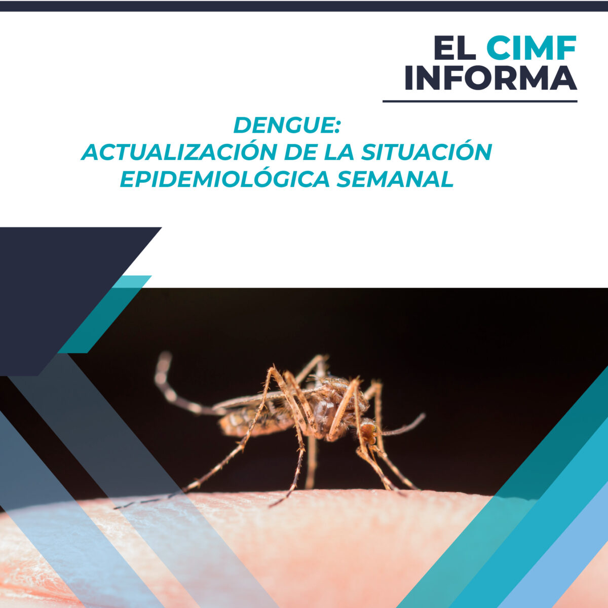El CIMF INFORMA: Dengue