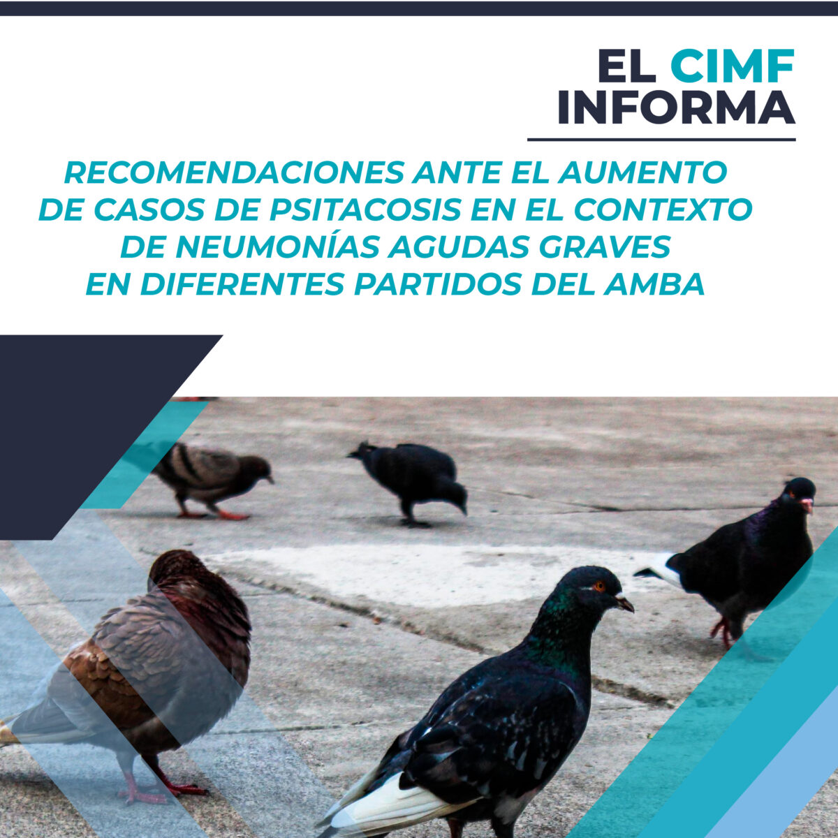 El CIMF INFORMA: Psitacosis